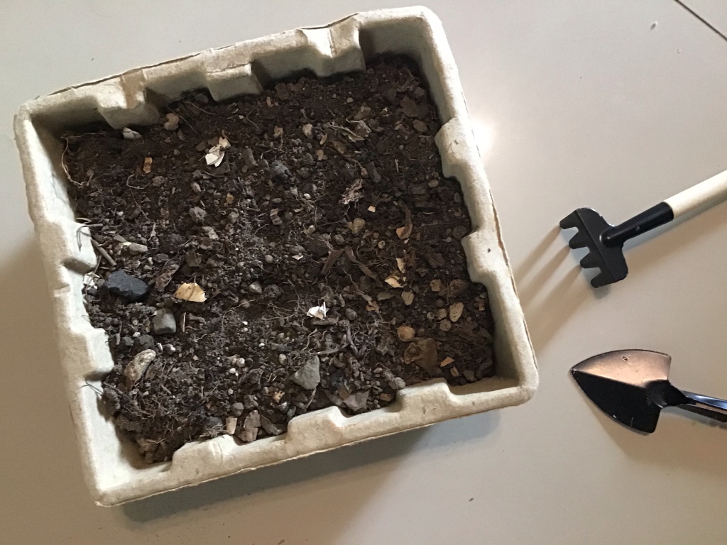 soil gardening by the fabulous scientist